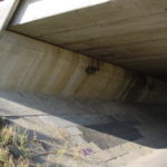 Leksporen (1)
