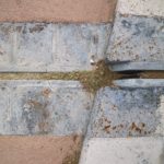 Web (2)