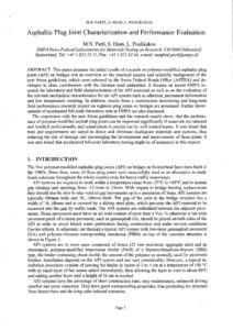 2002 asphalt plug joints charactirization and performance evaluation