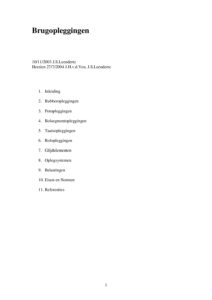 Rws rapport brugopleggingen 2004